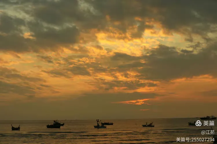 研判简讯（日落西山一片红，道人良言有玄机拼搏一心想赢百万金，风吹草动现牛羊）斐济拼搏日本比分负率榜排名-行家点评