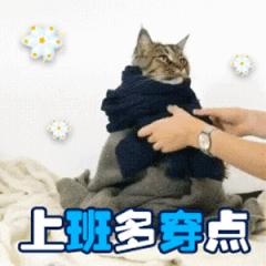 实时动态（欧洲杯小组赛）塞内加尔对峙尼日利亚比分舆论影响-条理讲解