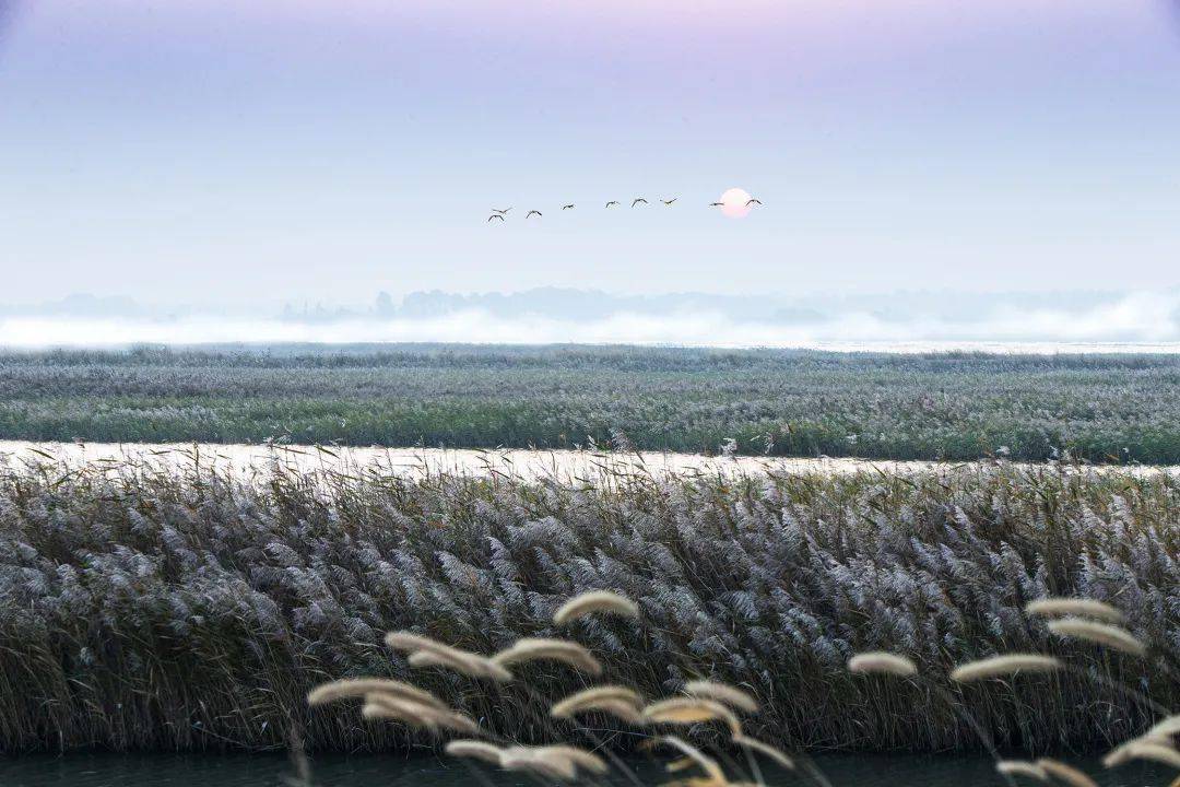 即时播报（今期生肖开金花，道人玄机送大家过招春虎夏蛇逐野兔，水火不容两相斗）爱尔兰1v1蒙古比分数据API-一手资讯