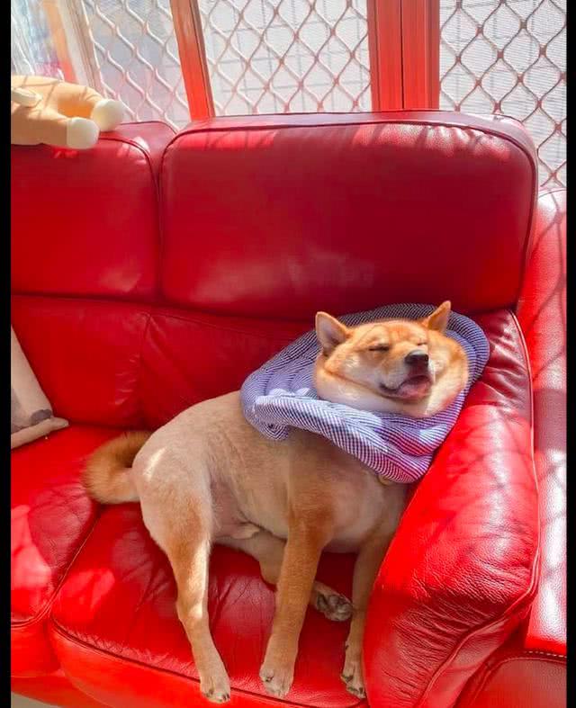 今日视点（吃饭睡觉长肥肉，一九复出六转移。2v2吃饭睡觉长肥肉，一九复出六转移。尼泊尔1v1巴拿马比分三四名决赛成绩-学术阐释