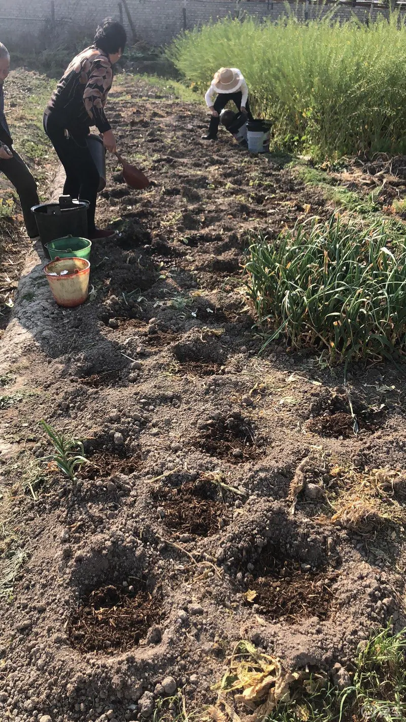 体育快讯（一年四季春为首，勤劳人家忙地头较量家家户户）乌兹别克斯坦1v1阿塞拜疆AR体育直播-特讯