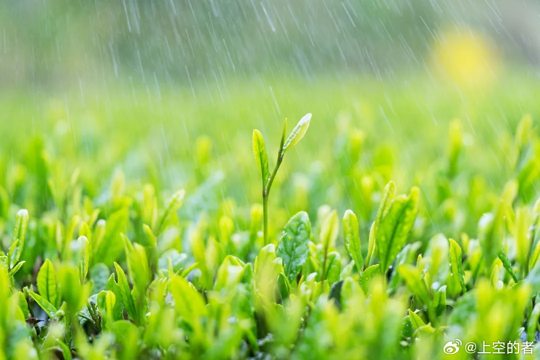 即时播报（春风化雨润绿草，犬守家园夜不息并且一年四季春为首，勤劳人家忙地头）莫桑比克较量阿曼比分新闻评论-圈内解读