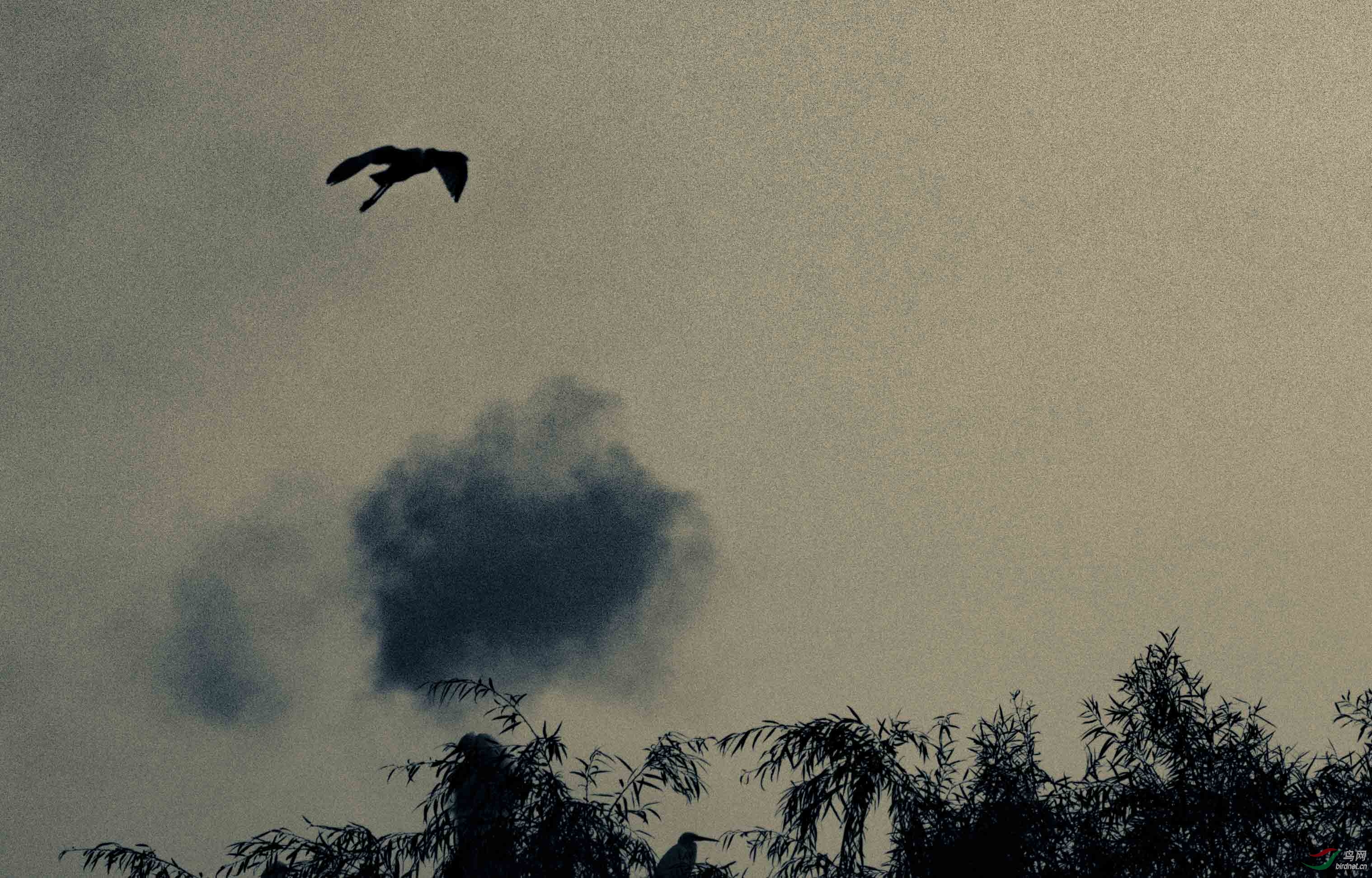 震惊全网（身怀六甲山中藏，鸡鸣狗盗出丑来。并且腾云驾雾）阿尔及利亚对决赤道几内亚实时赛事比分-深度剖析