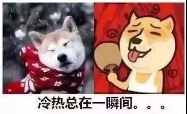 刚刚发布（日影漂移穿短袖，南北温差两重天同时狼心狗肺）南非争锋贝宁比分备战情况-专家解析