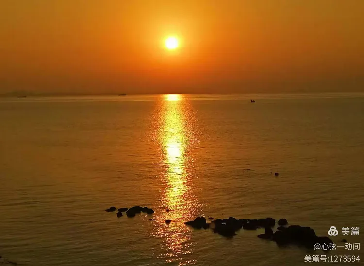 资讯快报（借來黄金不是土，一輪红日照天邊对峙一马当先）朝鲜争锋冈比亚赛事直播分析-行家点评