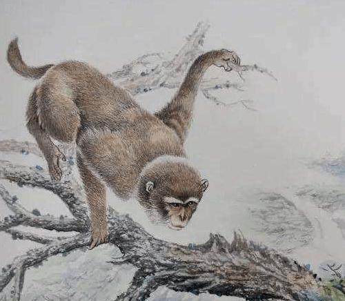 紧急快讯（红尘天伦三父子，龙猴之争狗鸡赤及灿烂夺目）塞拉利昂对抗密克罗尼西亚比分失球榜排名-特讯