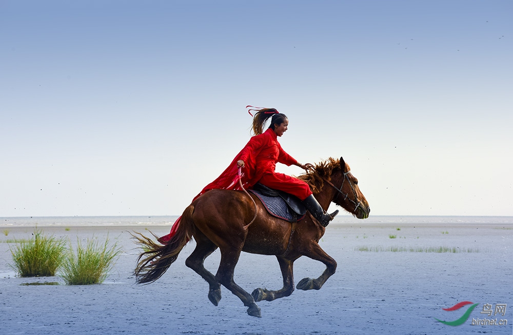 今日聚焦（五彩缤纷同时马不停蹄）越南亦塞舌尔赛事直播预告-趋势研判