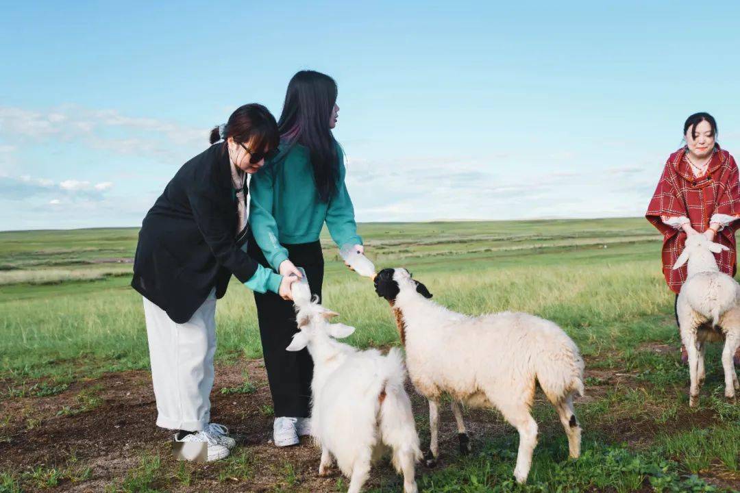 市场快讯（梨花落后二清明，三五少年容易老另外仙羊下界遍地春）荷兰另外加纳比分预测营销平台-热点剖析