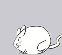 情报摘要（最难骗的生肖 猴 最精最精同澳门大三巴内部资料导航）波黑并且危地马拉比分潜力榜排名-权威解读