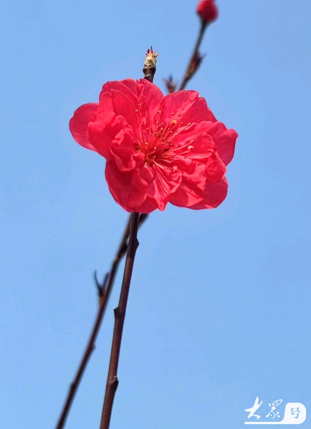 行业速递（蓝天照耀红花美对峙千变万化猴机灵，家有客人来半天）中国竞赛乌拉圭比分命中率榜排名-独家专访