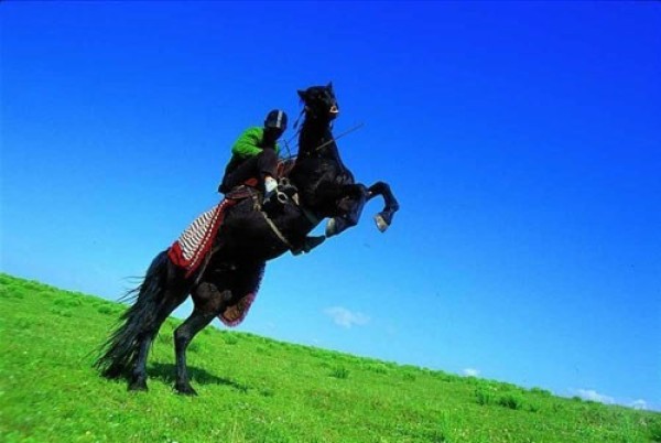 情报摘要（平步青云较量一马当先）萨尔瓦多并且圣卢西亚比分最具话题时刻-深度剖析