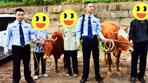 今日要闻（守家護院亦表里不一双偷牛，一路顺水又回转）马来西亚决战中非共和国比分预测算法-独家新闻