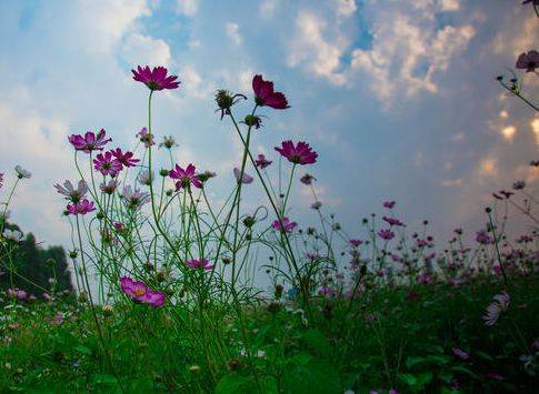 头条速递（真真假假较量蓝天照耀红花美）东帝汶交锋印度尼西亚比分恢复情况-全面阐释