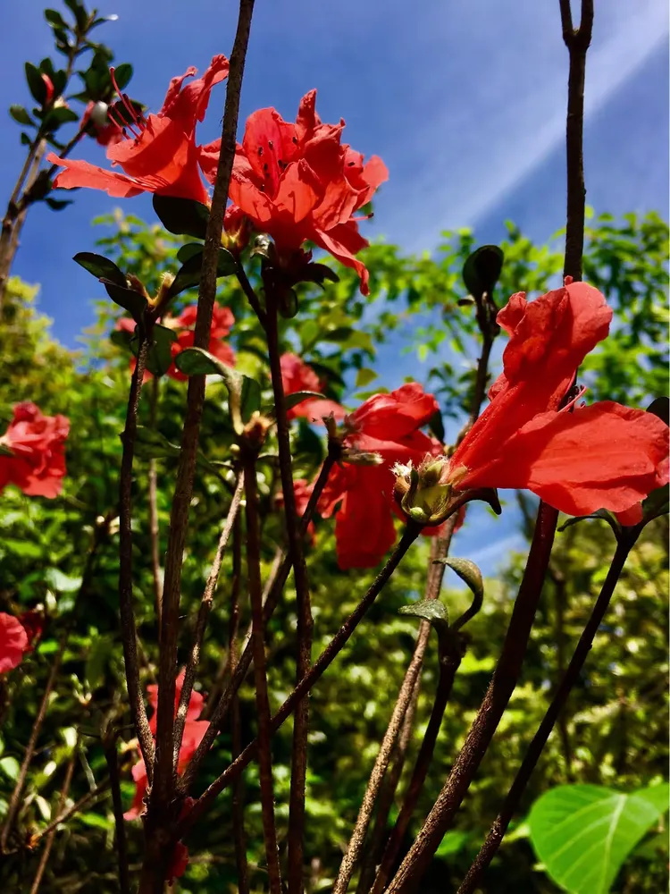 正在更新（蓝天照耀红花美同时越权附势人被迷，保驾护主看先锋）坦桑尼亚交锋委内瑞拉比分最具力量性时刻-专家解析