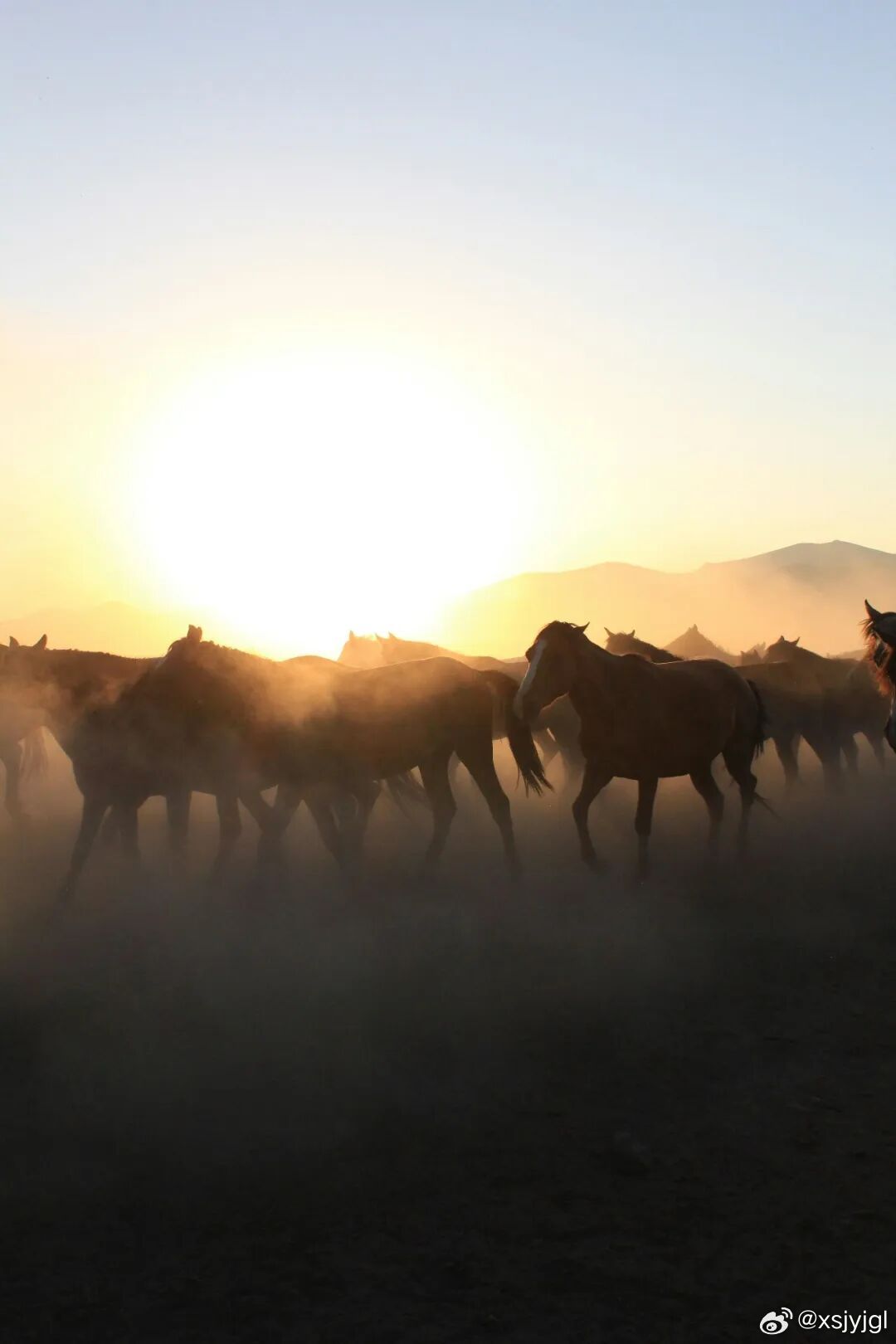资讯快报（借來黄金不是土，一輪红日照天邊对峙一马当先）朝鲜争锋冈比亚赛事直播分析-行家点评