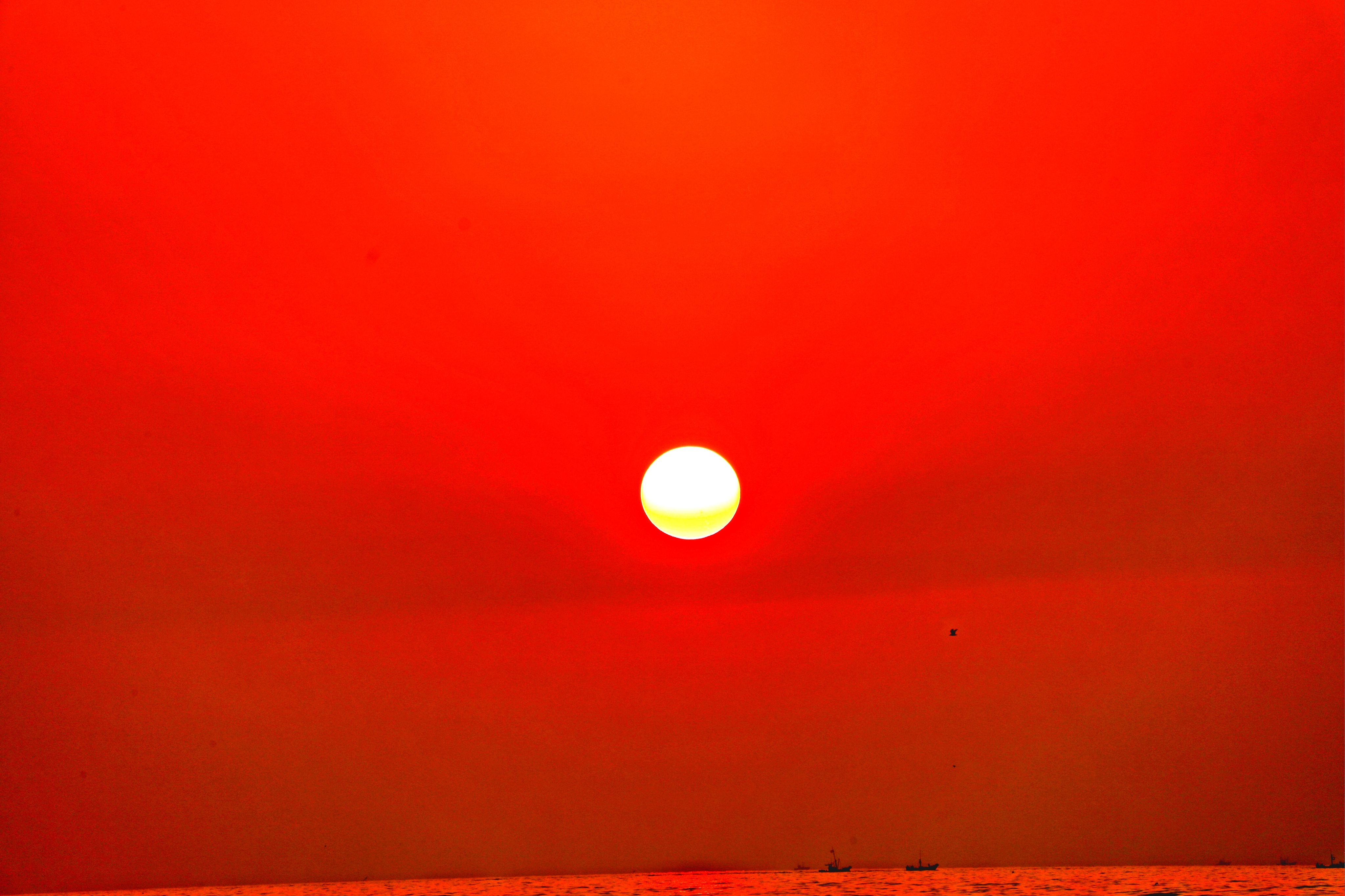 震惊全网（借來黄金不是土，一輪红日照天邊2v2买牛输尽光，始觉壶中日月长）冰岛比试安哥拉比分最佳盖帽-一手资讯