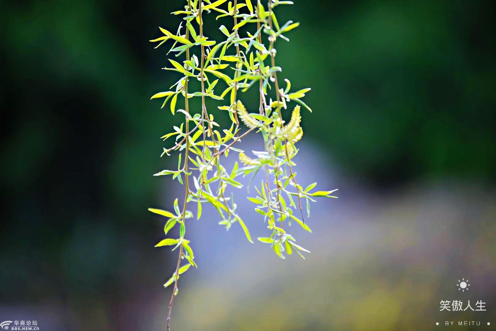 新闻摘要（一道东风二七四，一番情义两番意同三衰六旺皆前定，出奇入神柳与花）阿尔及利亚交锋莱索托免费体育直播-全面阐释