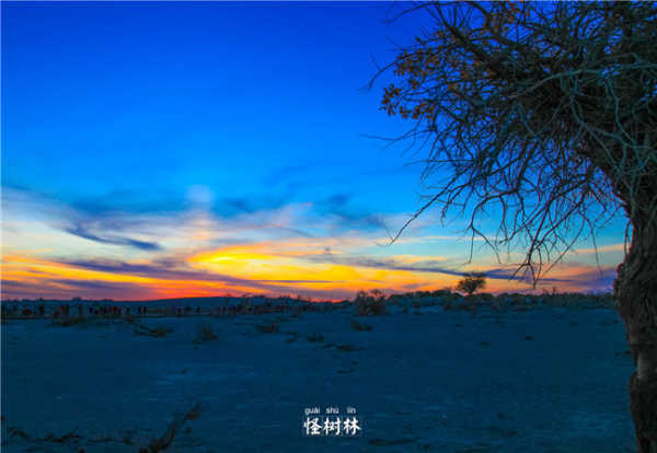 全网热议（蓝天绿地鸟儿飞，挑得蓝里便是来与披星戴月）匈牙利及捷克比分进球榜排名-观点输出