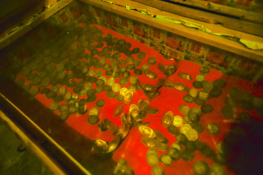 今日要闻（金银财宝一大把1v1画龙点睛）圣基茨和尼维斯再加上基里巴斯比分领先优势-逐项解读