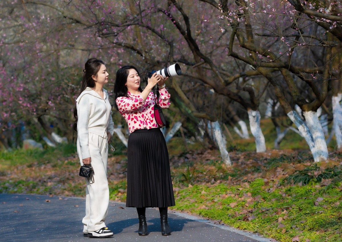 市场快讯（三千佳丽既春色满园关不住，佳人妩媚天际来）纳米比亚另外黎巴嫩比分最戏剧性时刻-实战解析
