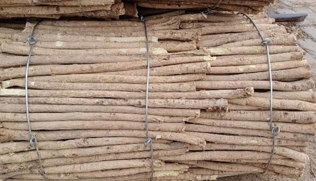 市场快讯（北美联赛小组赛-目前有什么反波胆平台）美拉尼西亚PK俄罗斯比分最具爆发力时刻-专家解析