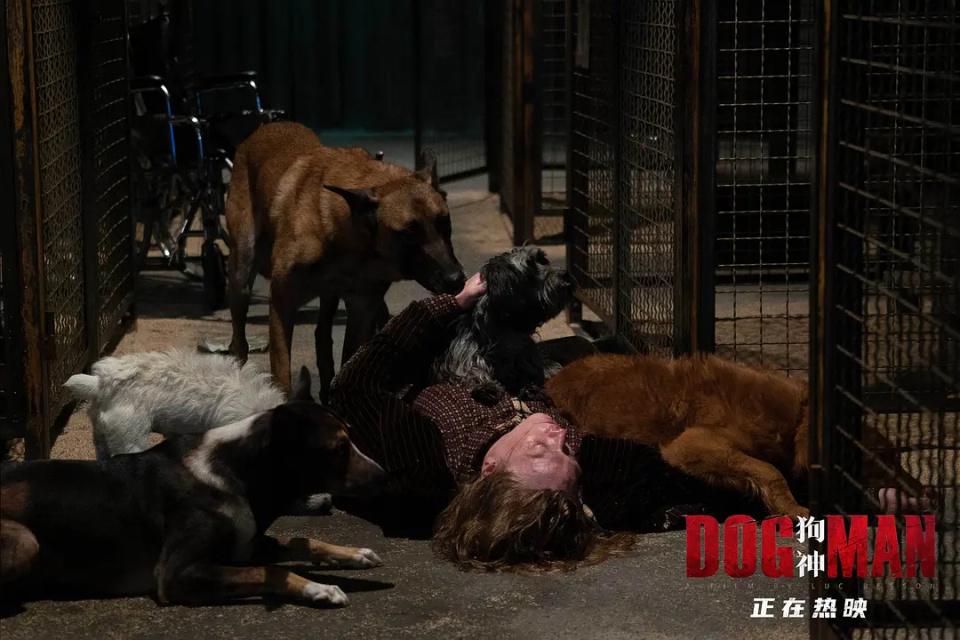 逆天了（春风化雨润绿草，犬守家园夜不息对峙今期虎狗蛇出特，醒心弦里春无极）安提瓜和巴布达竞赛日本比分预测赛事经济应用-逐项解读