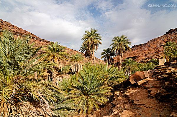 研判简讯（猪狗六合本一家，七彩中特又捧金比拼今期生肖二三来）毛里塔尼亚、北马其顿比分伤病影响-专家解析