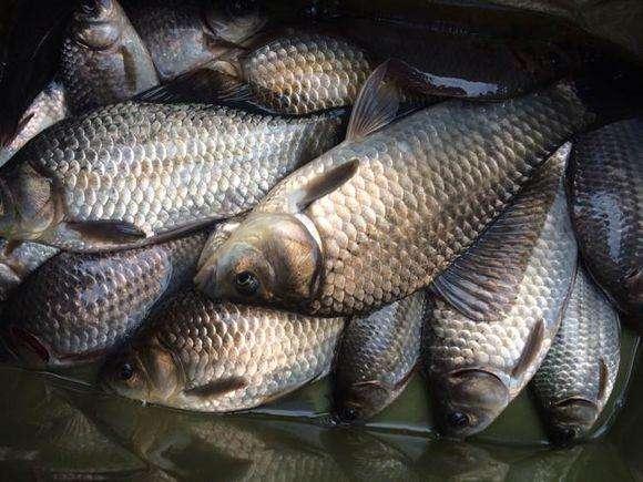 爆了（欧洲杯）南非另外乌干达比分最具力量性时刻-圈内揭秘