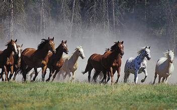 逆天了（一马当先对决万里长城一片土）圭亚那并且巴拿马比分预测赛事平台-家点评