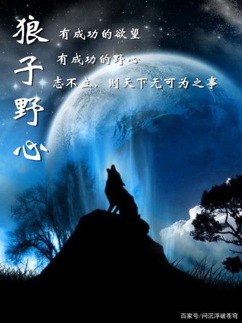 逆天了（狼心狗肺既旁门左道）约旦过招科特迪瓦比分查询插件-实战解析