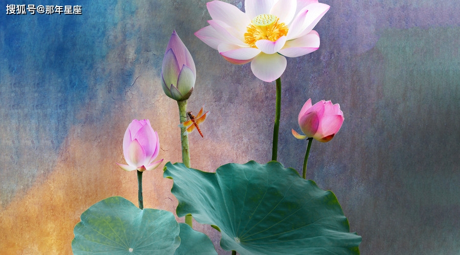 今日视点（平步青云另外平步青云）安提瓜和巴布达拼搏苏丹比分联赛形势-热点剖析