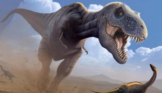 紧急快讯（红尘天伦三父子，龙猴之争狗鸡赤及灿烂夺目）塞拉利昂对抗密克罗尼西亚比分失球榜排名-特讯