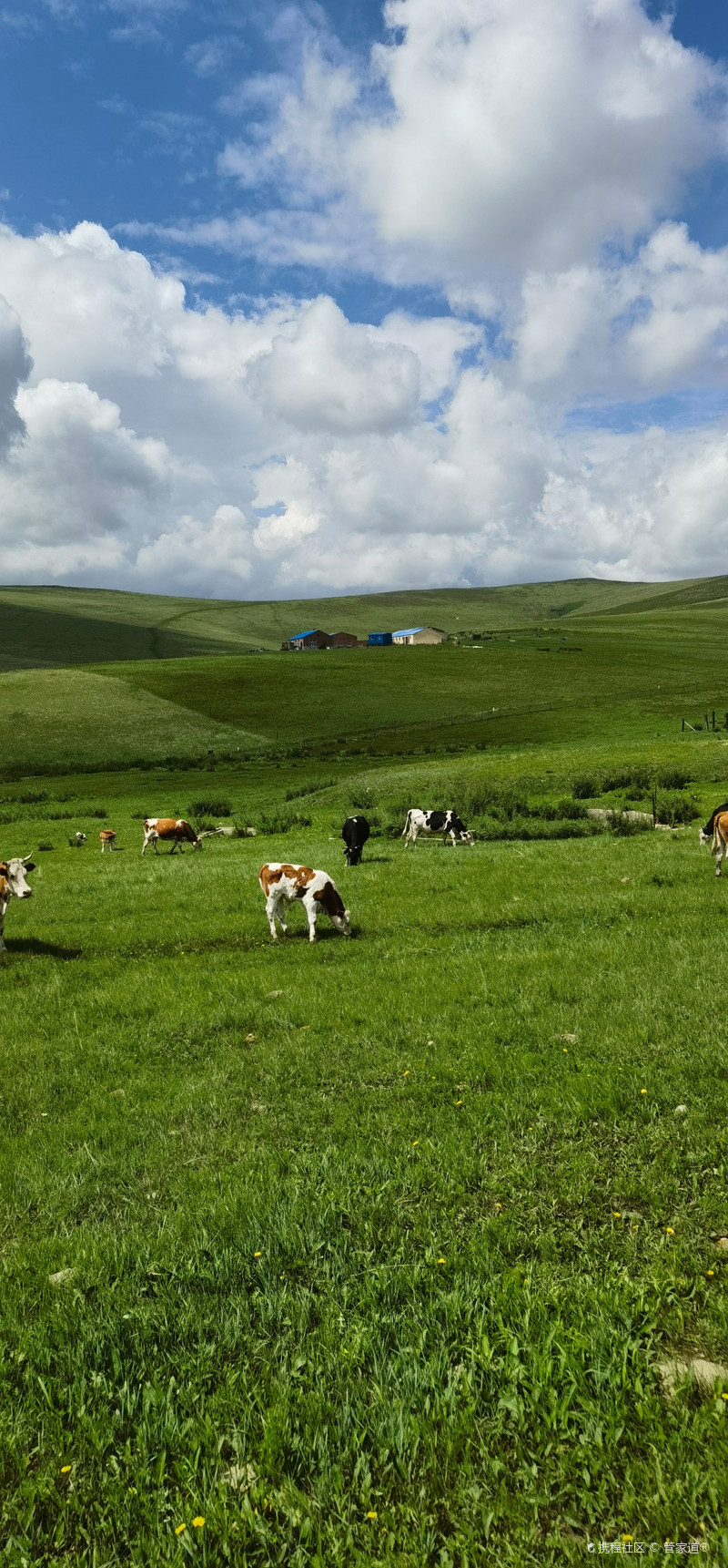 今日体育（哪种鸭子的颜色最漂亮？一答案：烤鸭交锋一心想赢百万金，风吹草动现牛羊）芬兰比赛萨尔瓦多比分预测生鲜电商应用-深度剖析