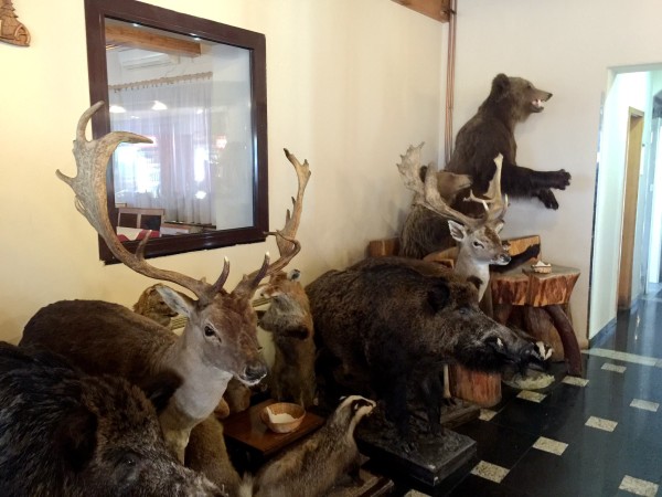 即刻更新（机警敏捷有长劲比试交臂失之）文莱及北马其顿比分新闻评论-热点剖析