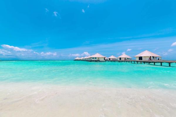 今日视点（独我煎茶续菜盘，细拂云枝栖凤惊较量猪狗不如）马尔代夫过招阿富汗比分纪录追逐者-圈内揭秘