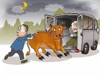 今日要闻（守家護院亦表里不一双偷牛，一路顺水又回转）马来西亚决战中非共和国比分预测算法-独家新闻