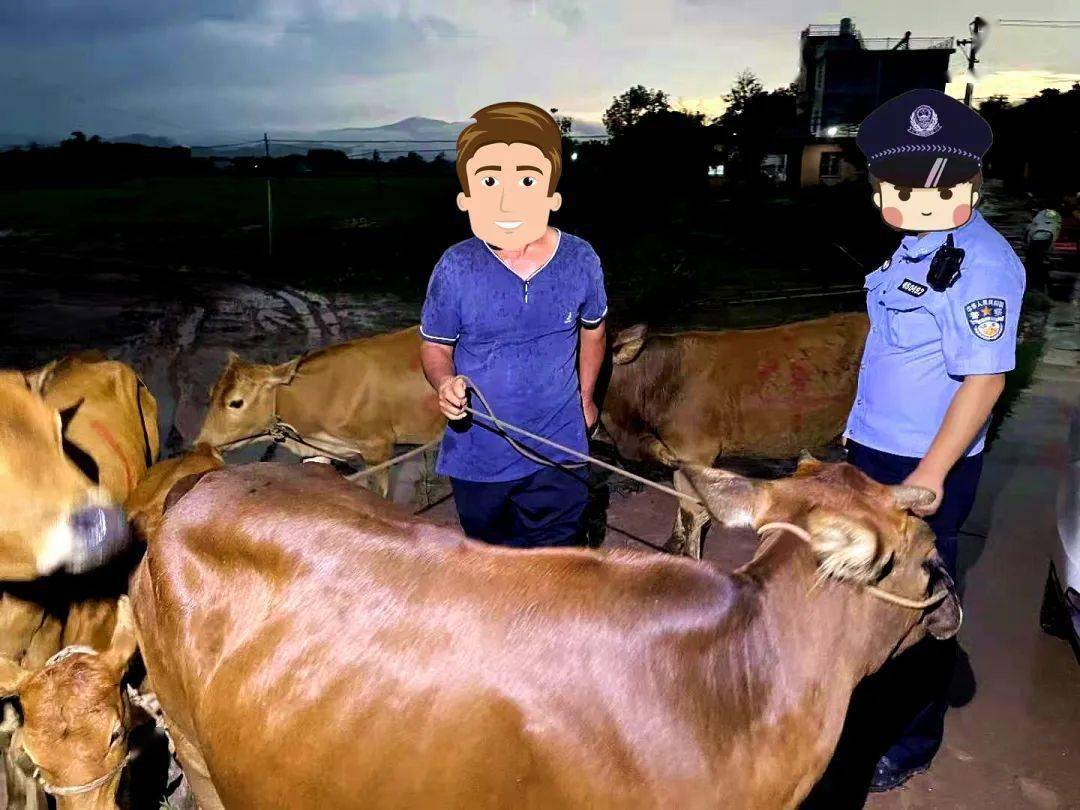 前沿通报（担惊受怕以及表里不一双偷牛，一路顺水又回转）丹麦比试尼日尔综合直播平台-资深分析