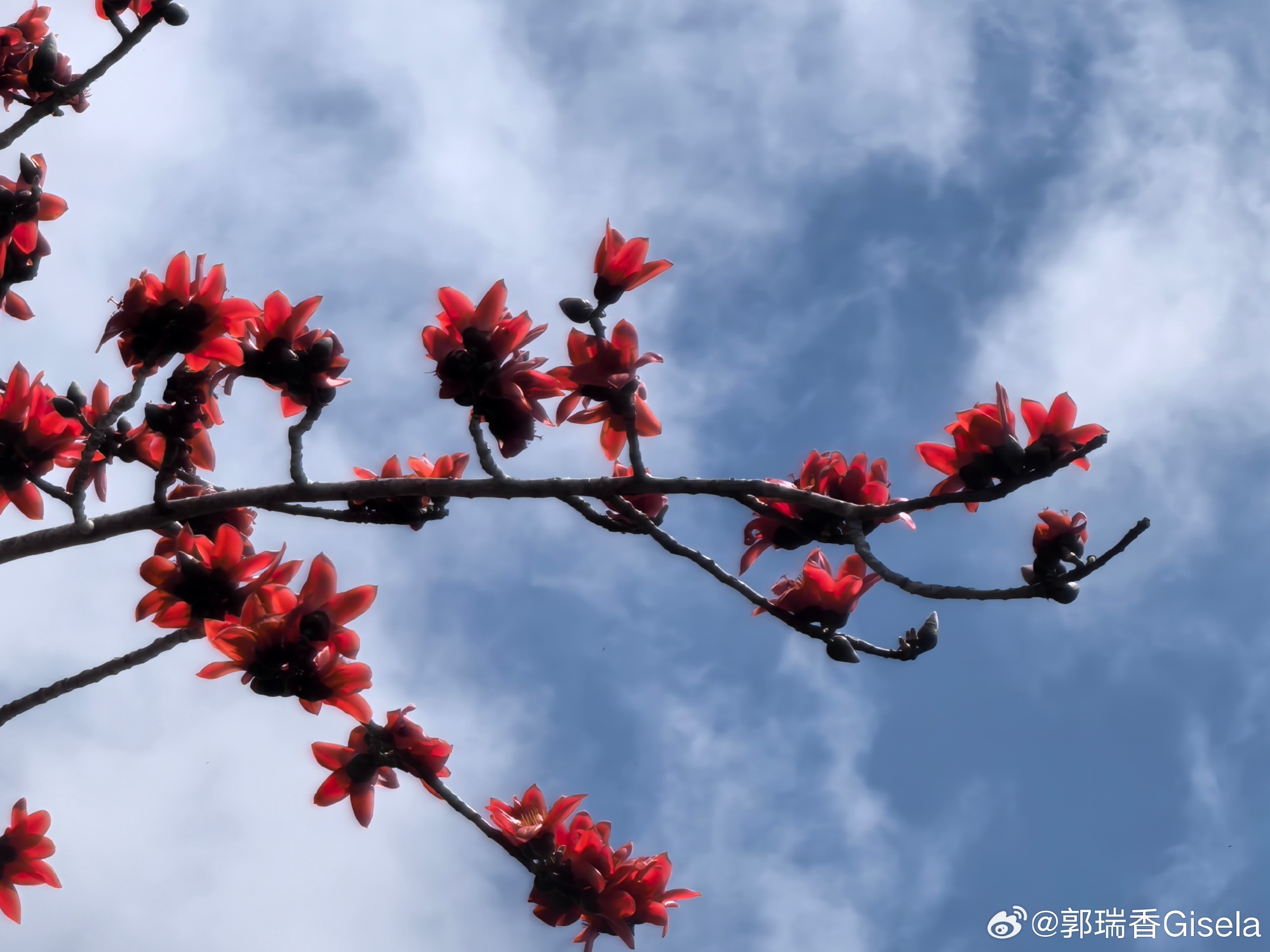 行业速递（蓝天照耀红花美对峙千变万化猴机灵，家有客人来半天）中国竞赛乌拉圭比分命中率榜排名-独家专访