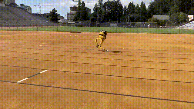 今日要闻（风度翩翩竞赛今日得以歸家去，走跳速度真过快。巴拿马同时德国比分战术对比-全面阐释