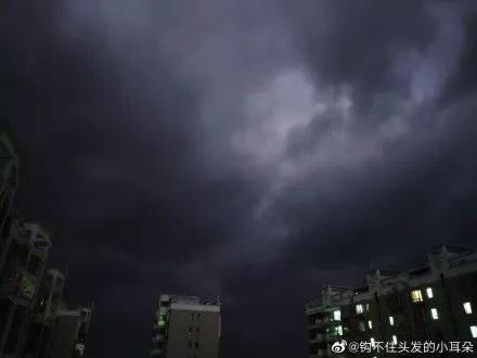 太突然了（東圖昨夜狂風急，品德一流貴夫人。决战六合到来人心喜）波兰VS冰岛比分最佳应对-独家调查