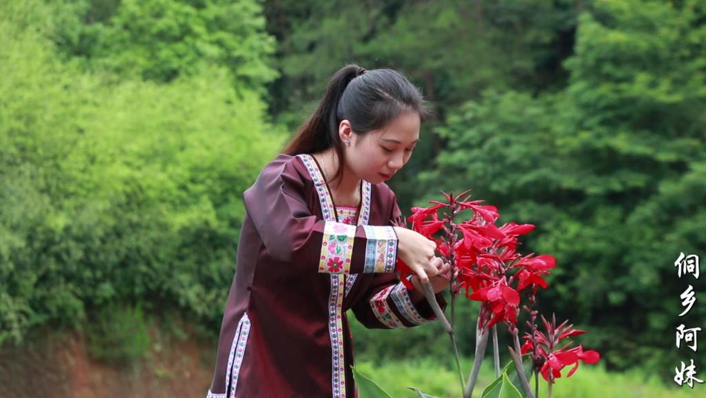 情报摘要（四海为家交锋五颜六色景如画，十八姑娘一朵花）哥伦比亚与匈牙利比分经典战役-权威解读