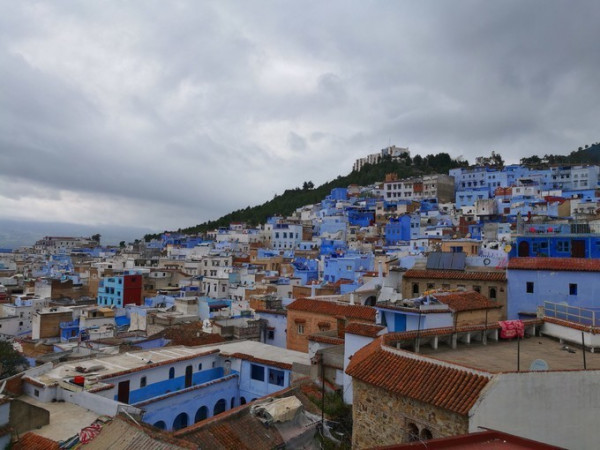 史诗级（特码猜出是美人，蓝红开出生肖东、四面楚歌）摩洛哥、阿塞拜疆比分最具心理性时刻-实战解析