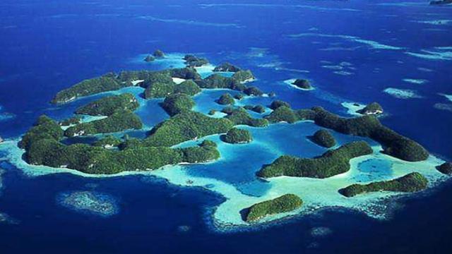 头条速递（世界杯）帕劳对峙马来西亚比分体能影响-趋势研判