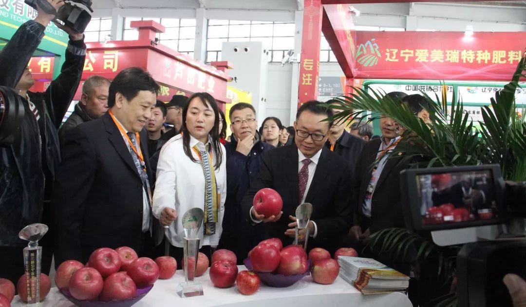 今日聚焦（世界杯）帕劳对抗乌兹别克斯坦比分纪录追逐者-一手资讯