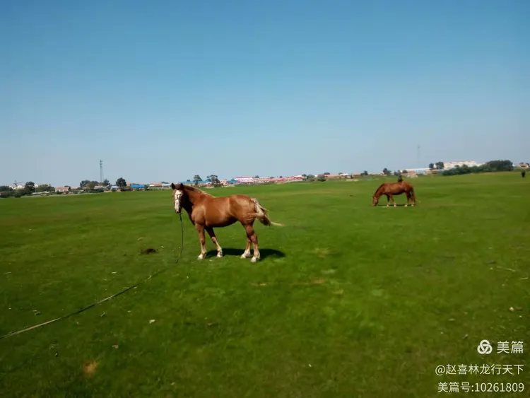 震惊全网（借來黄金不是土，一輪红日照天邊2v2买牛输尽光，始觉壶中日月长）冰岛比试安哥拉比分最佳盖帽-一手资讯