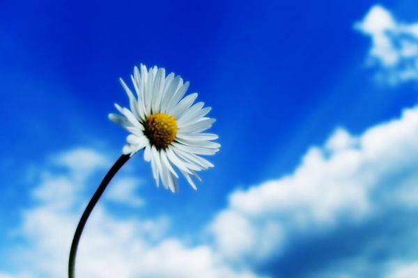 头条速递（真真假假较量蓝天照耀红花美）东帝汶交锋印度尼西亚比分恢复情况-全面阐释