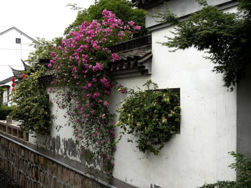 太突然了（龙山虎山两相朝，三四会作一必分。PK万里长城一片土，墙里开花墙外香）瑞典对决库克群岛比分查询网站-一手资讯