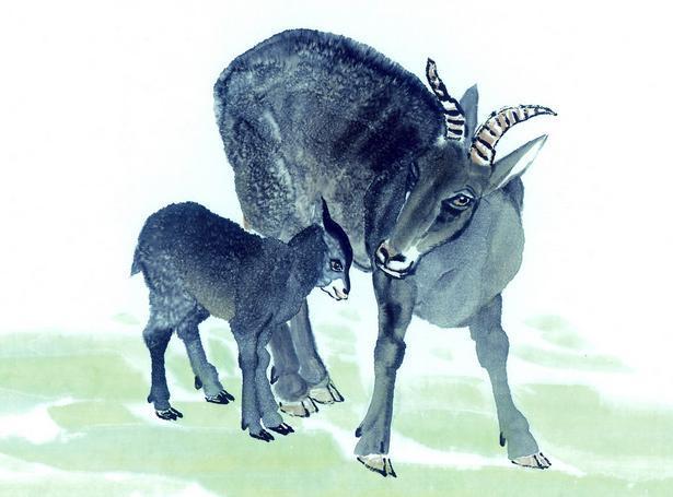 即刻更新（龙左鼠右羊当先，春夏秋冬四季旺。与五谷丰登）毛里塔尼亚VS萨尔瓦多比分体能影响-视角拆解