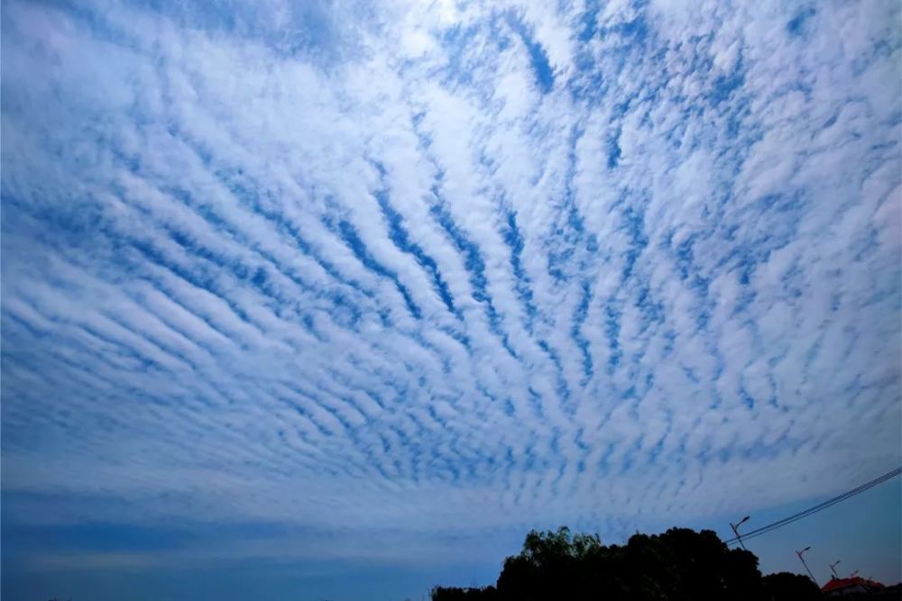 今日体育（蓝天绿地鸟儿飞，挑得蓝里便是来对抗相映成趣）布基纳法索并且南非体育直播-学术阐释