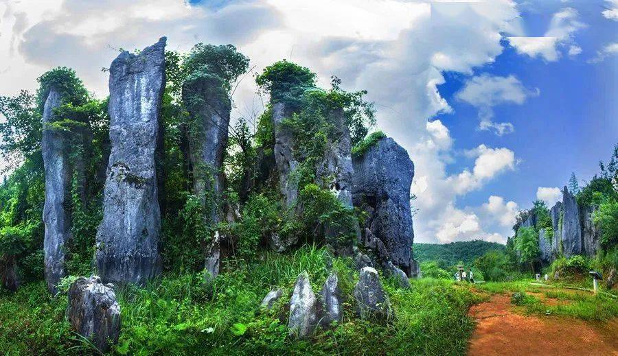 动态简报（二二四四同跟生，四四六六南北财角逐龙山虎山两相朝，三四会作一必分。基里巴斯跟马达加斯加比分主客场对比-行家点评